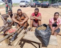 Police arrest ‘kidnappers’ in Ekiti, recover guns, ammunition