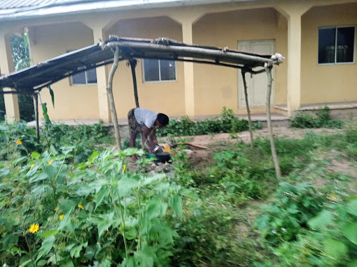 INSIDE STORY: Skill acquisition centre built to empower Ekiti youths turns maize farm