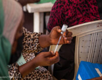 COVID vaccination now stagnant in Africa, says WHO