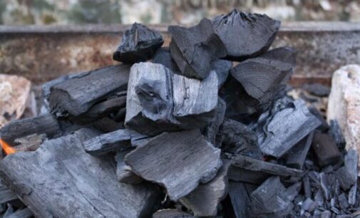 Climate Watch: Nasarawa phasing out charcoal as FG invests in renewable energy