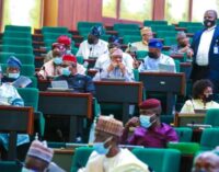 Reps: Travel ban is indication we must fix Nigeria