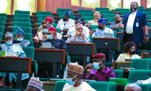 Reps: Travel ban is indication we must fix Nigeria