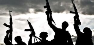 ’40 killed’ as gunmen attack Plateau community
