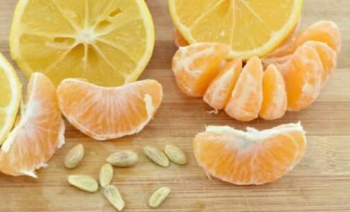 Eat Me: Boosts energy, controls BP… seven benefits of orange seeds