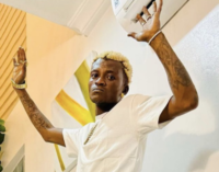 Portable begs Davido, Wizkid for collaborations