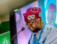 ‘Actors who visited Tinubu didn’t represent us’ – AGN finally reacts