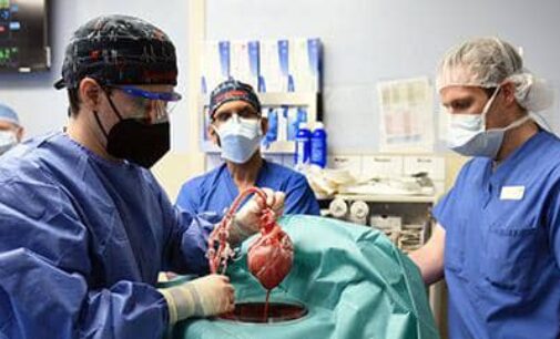 BREAKTHROUGH: Pig heart transplanted into US resident in first-of-its-kind surgery