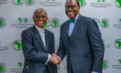 AfDB to launch Nigeria’s agro-industrial processing zones in February