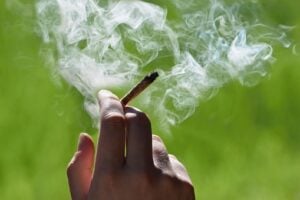 Marijuana