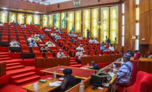 Senate passes bill establishing transportation university in Daura