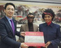 How youths are playing vital role in Africa-China ties