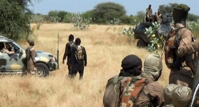 Insurgents ‘kill eight’ in attack on Chibok community