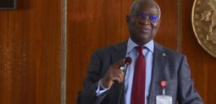 Parliamentary system led Nigeria into unwarranted disaster, says Fashola