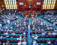 ‘Over 130 members not returning’ — NILDS DG laments high turnover at house of reps