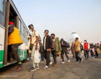 From Ukraine to Romania and finally Nigeria, returnees recount torturous journey back home
