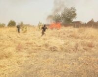 Troops rescue 30 abductees in Borno, destroy insurgents’ camps