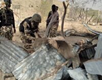 Joint task force kills 18 ‘ISWAP fighters’ around Lake Chad