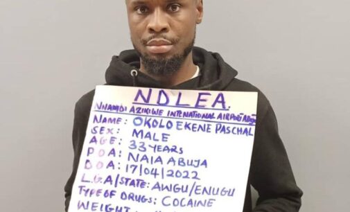 NDLEA intercepts cocaine hidden inside teabags at Abuja airport