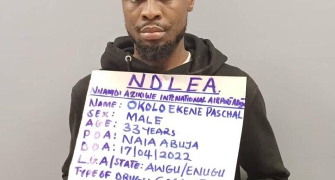 NDLEA intercepts cocaine hidden inside teabags at Abuja airport