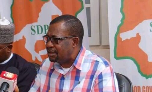 SDP suspends national chairman over ‘anti-party activities’