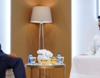 Akinwumi Adesina: Why UAE may be considered for membership of AfDB