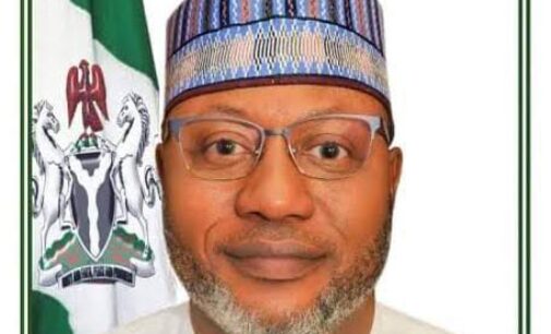 Buhari appoints Mohammed Abdullahi as minister of environment