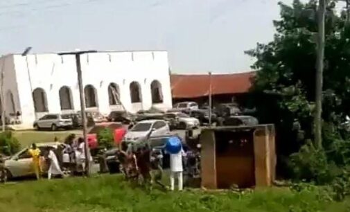 EXTRA: Drama at Alaafin’s palace as bees attack mourners