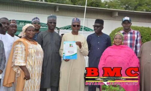 Borno residents ‘buy’ N10m APC nomination form for reps panel chairman