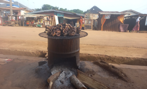 Deadly smoke: Nigerians turn to charcoal as cost of cooking gas soars