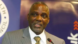 Barth Nnaji says inadequate investment behind Nigeria's gas shortage