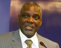 Barth Nnaji: Diesel suppliers, generator dealers ‘cabals’ against stable power supply
