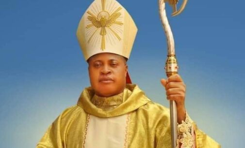 Pope Francis names Okpaleke, Nigerian bishop, as cardinal