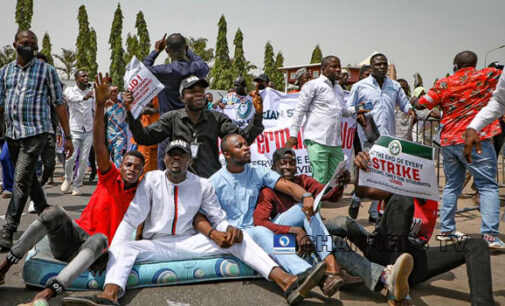 NANS warns FG: Party primaries will NOT hold until ASUU strike ends