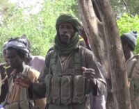 Abducted health worker in Borno regains freedom — after 11 months in captivity