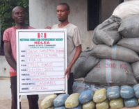 NDLEA intercepts 10.8kg of cocaine, fake N1.1bn travellers’ cheques at Lagos airport