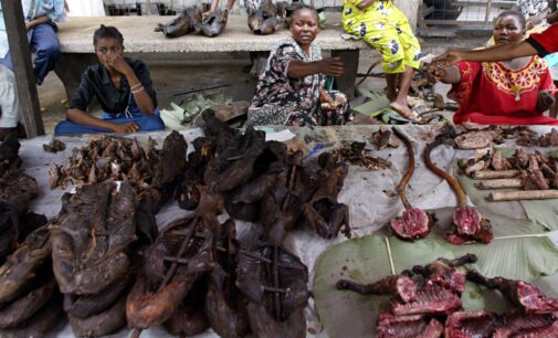Monkeypox: Suspend sale, consumption of bushmeat, FG tells Nigerians