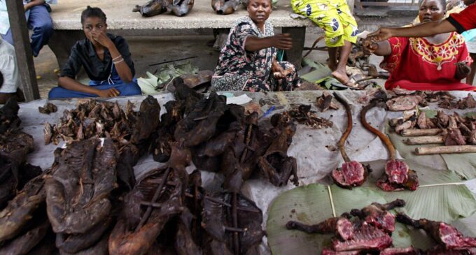 Monkeypox: Suspend sale, consumption of bushmeat, FG tells Nigerians
