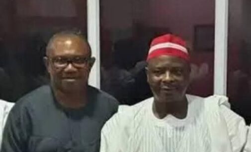End alliance talks with Kwankwaso, support group tells Obi