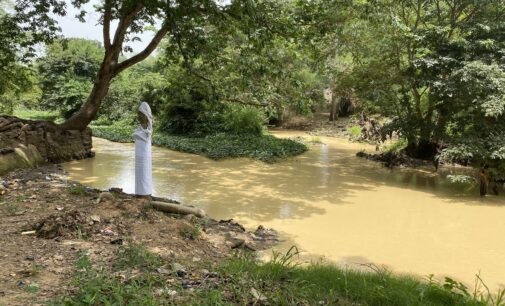INVESTIGATION: How illegal mining fuels poverty, river pollution, sacred grove desecration in Osun
