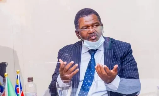 ‘We mainly export salt, electronics’ – Namibian envoy says trade with Nigeria hits $10m annually