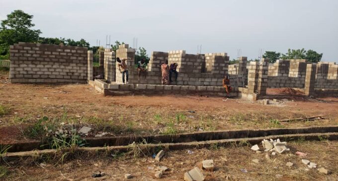 FG begins construction of new snakebite treatment centre — after TheCable’s report