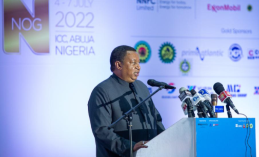 Barkindo: Efforts to discourage oil exploration will cause energy crisis, insecurity