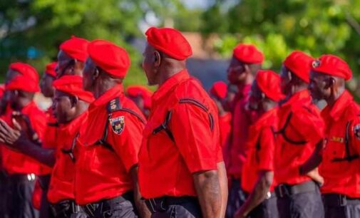 PHOTOS: Zamfara unveils ‘community protection guards’ to tackle banditry