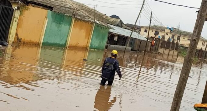 Over 50 killed, 172,000 farmlands destroyed by flood in Adamawa