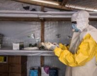 Two dead as Ghana confirms Marburg virus disease outbreak — first time ever