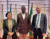 EU mulls gas investment in Nigeria to accelerate energy transition