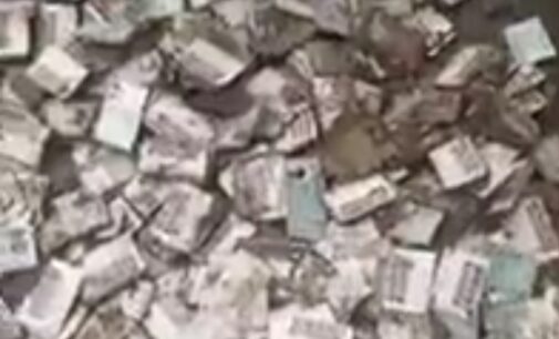 ‘We’re investigating’ — INEC reacts as resident claims PVCs were found buried in Imo
