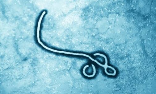 Ghana reports first suspected cases of highly infectious Marburg virus