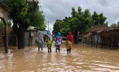 51 dead as flood ravages Jigawa communities
