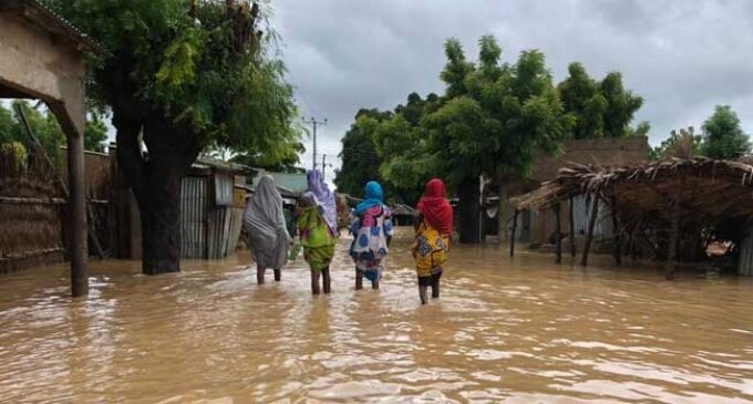 51 dead as flood ravages Jigawa communities